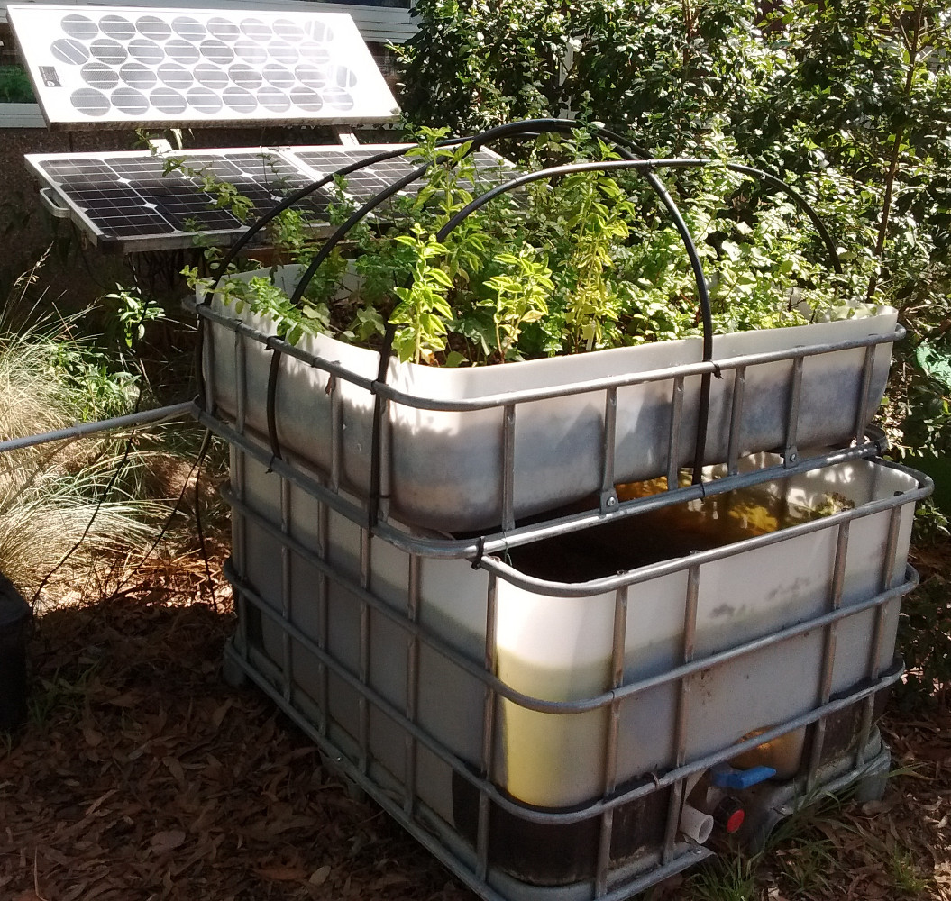 Sustainable Aquaponics in operation